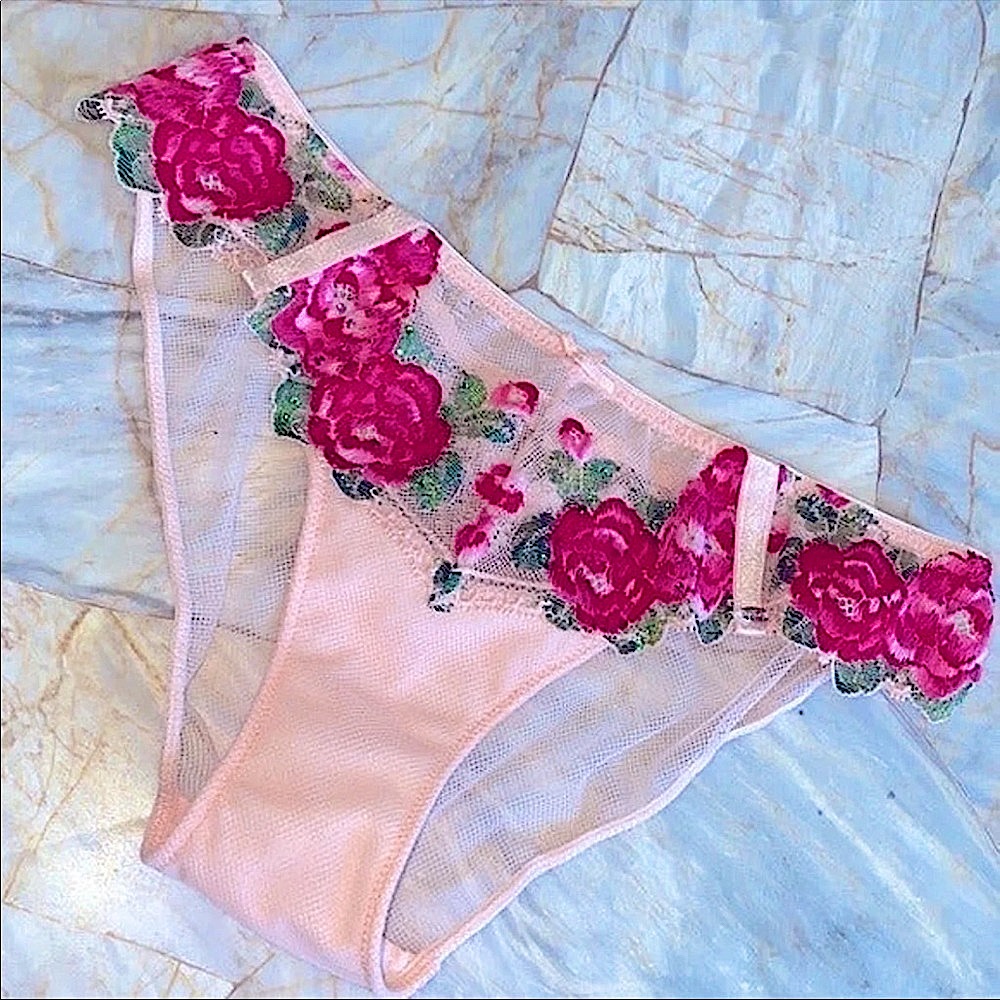 NWOT Victoria’s Secret RARE Rose Crystal Lace Mesh Floral Panty, M